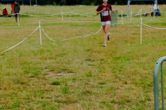IMG_20250615_084927