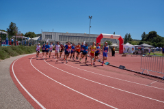 IMGP4003
