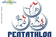 France Triathle  11/12-06-2022