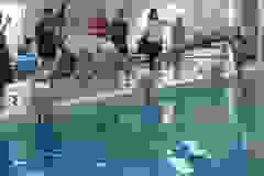 278331853_396627169134981_2965934409513252859_n