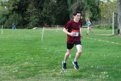 DSC_0581-c