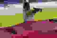 246151324_575140910422918_893140124144674927_n-553x960