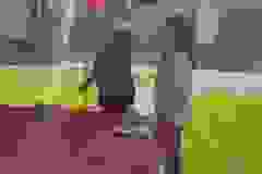 246290284_575140963756246_1761508711891528804_n-540x960