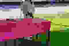 246331706_575140853756257_1553915851467263580_n-540x960