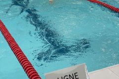 IMG_0244-2