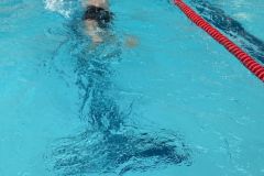 IMG_0285