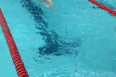 IMG_0313-2