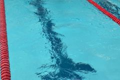 IMG_0314-2