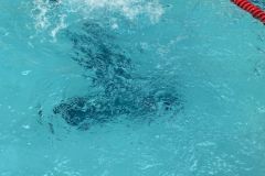 IMG_0354